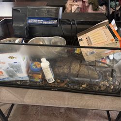 Fish Or Reptile Tank 