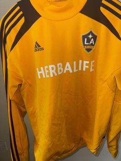 LA Galxaxy along Sleeve Training kit