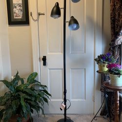 3 Bulb Lamp