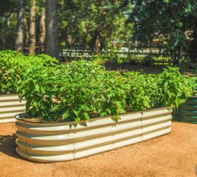 Vego Garden 14” Tall 6 in 1 Modular Metal Raised Garden Bed Kit