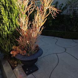 Outdoor Water Fountain And Planters $150 Each