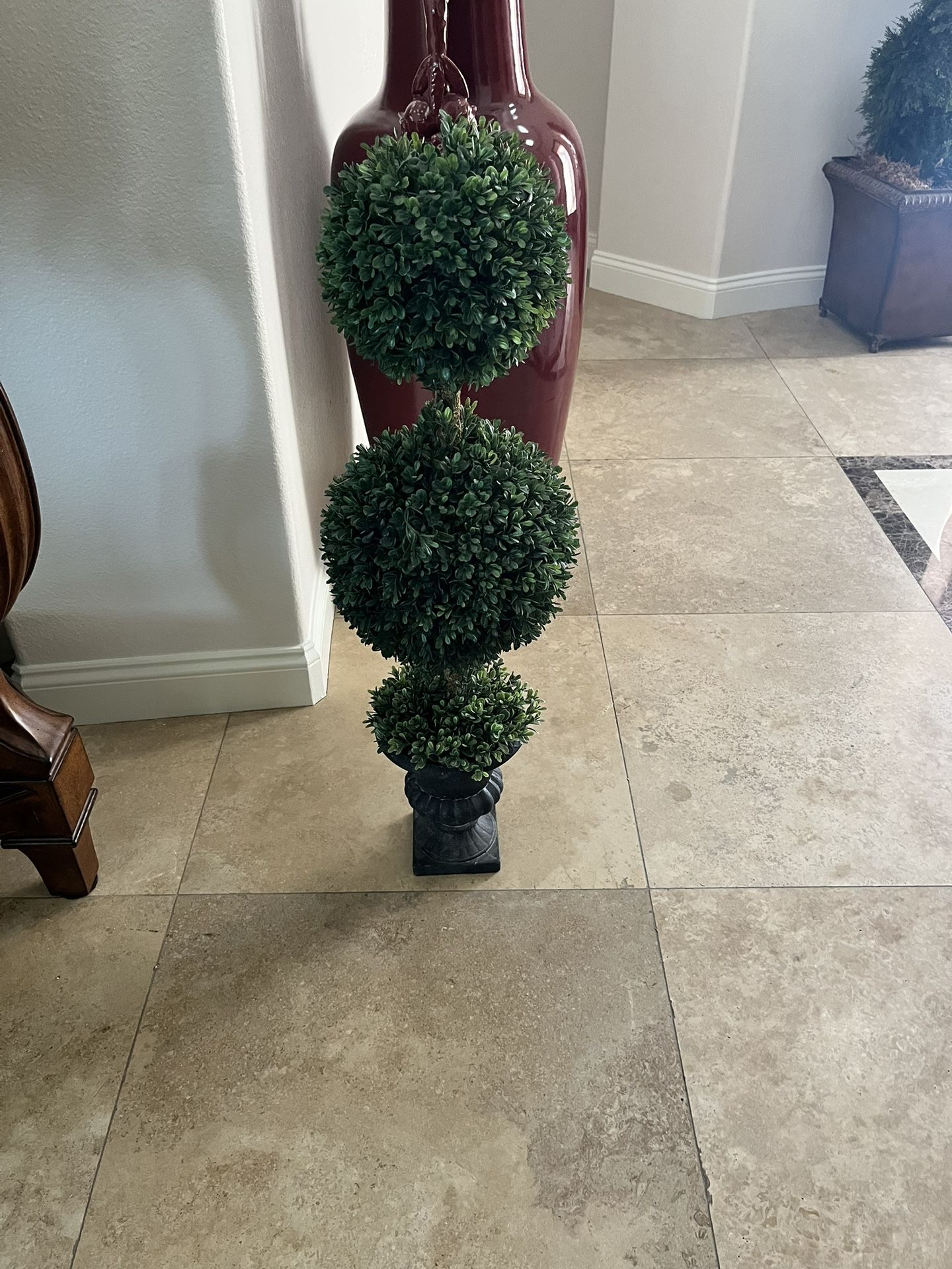 Boxwood Topiary