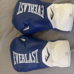 Everlast 8oz Boxing Gloves 