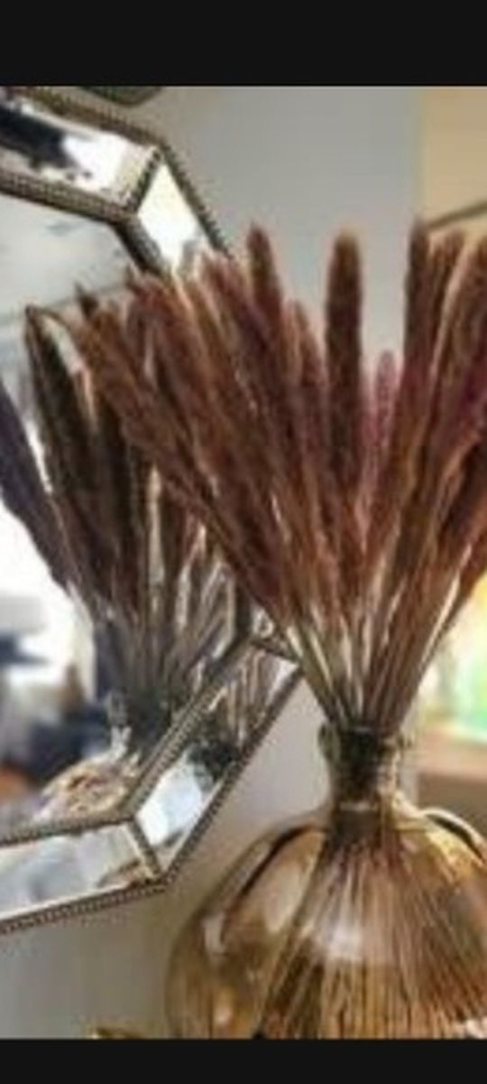 Tabletop Natural Brown Pampas Grass - Home and Event Decoration