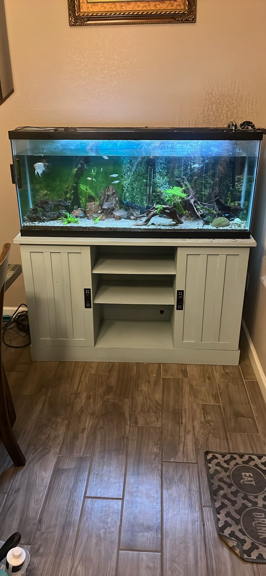 55 Gallon Aquarium AND Stand