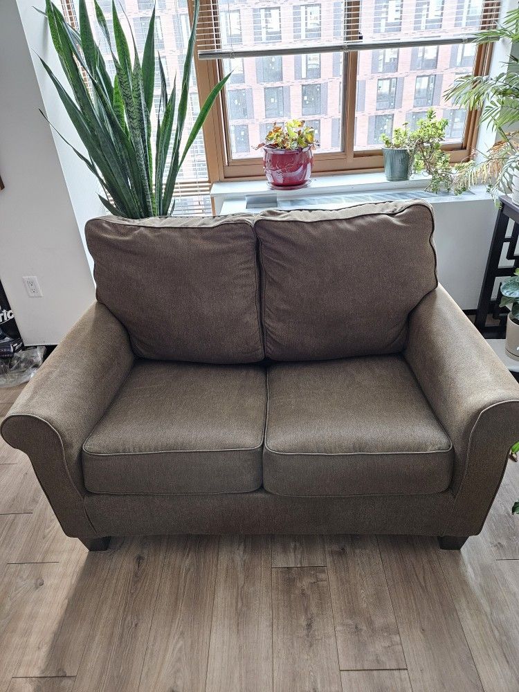 2 Seat Couch With Pull Out Bed