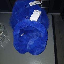 Blue Hat And Ear Muffs