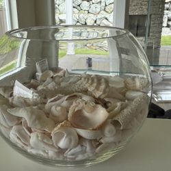 Large Decorative Natural Seashell Glass Vase Jar Bowl 6.5” x  5” x 8”