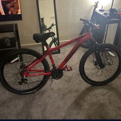 Custom Mongoose Adult Mountain Bike 