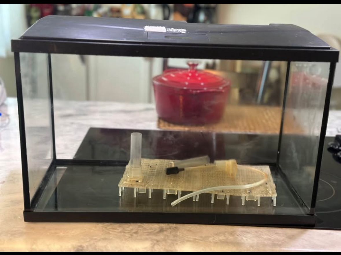 Fish Tank And Accessories 