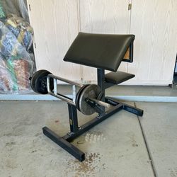 BodySmith Curl Bench W/ Weight Bar