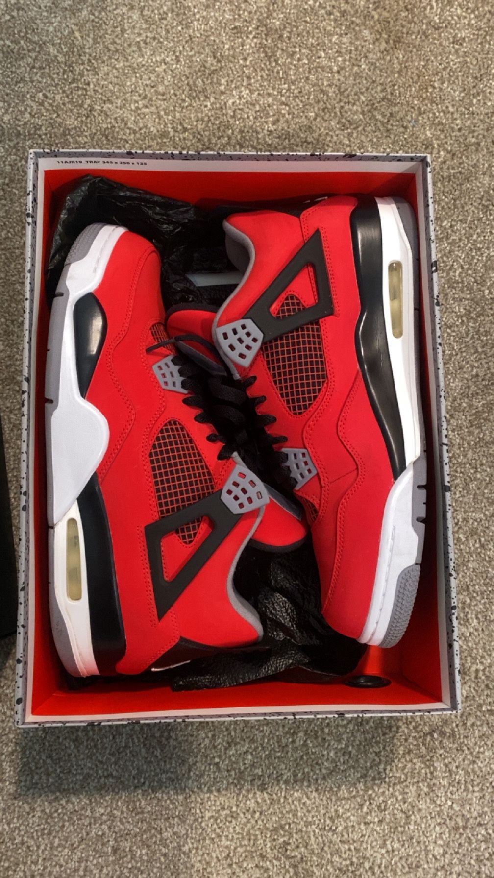 Jordan 4 Size 12