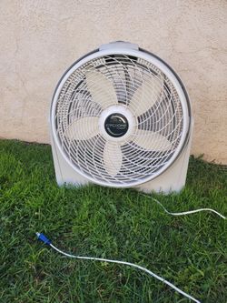 Fan