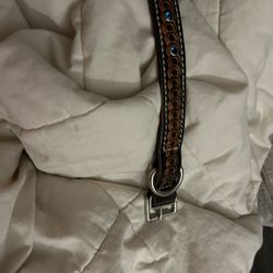 Leather Dog Collar