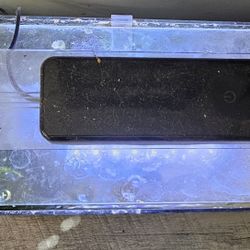 Aquarium/fish Tank / Pecera