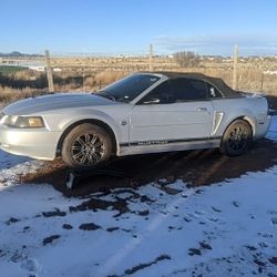 2004 Ford Mustang Convertible 