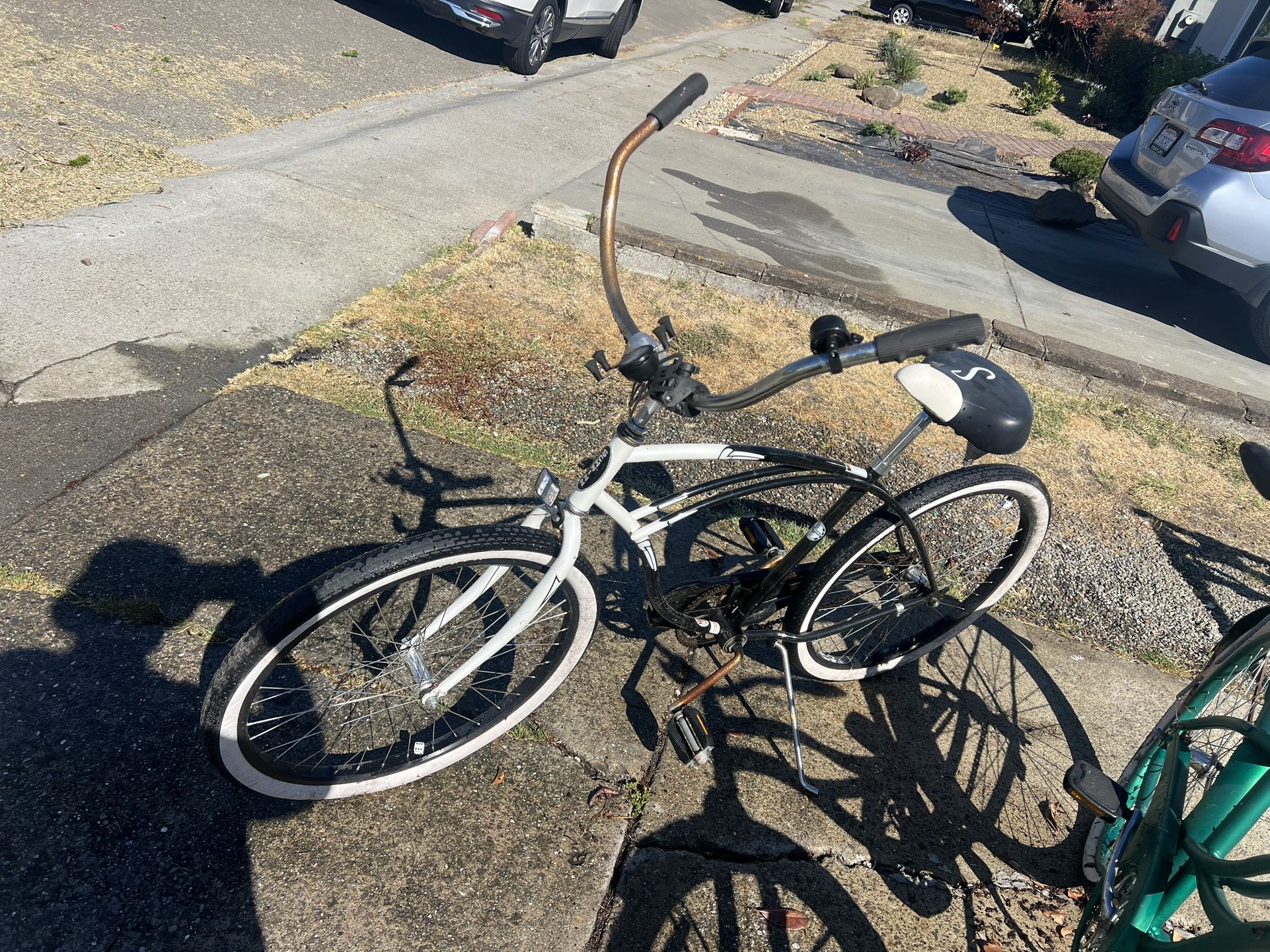 Schwinn Cruiser
