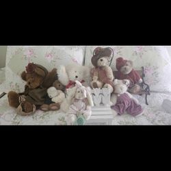 Boys Bears Collection