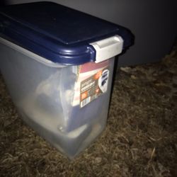 Lnew Pet Food Container With Lock Lid Only $20
