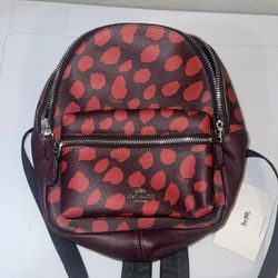 Coach Mini Backpack