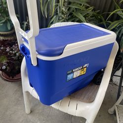 Excellent Condition, Different Sizes Coolers