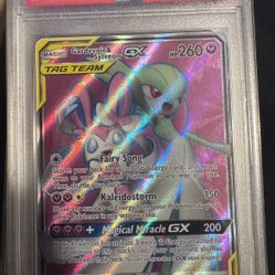 Gardevoir & Sylveon 204