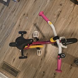 Toddler Little Girl Bike