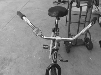 schwinn beach cruiser!