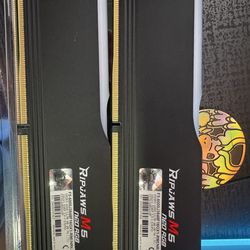 DDR5 32 GB ram (2x16 gb)
