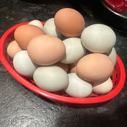 Farm Fresh Eggs