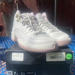 Air jordan 12 plum fog best sale
