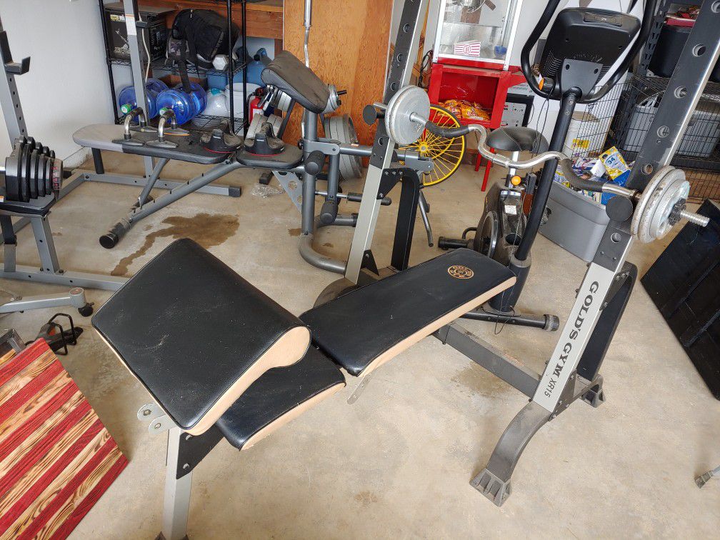 Workout Bench Press and curling bar