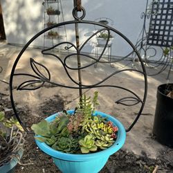 Black Metal Hanging Plant Holder With Live Plants