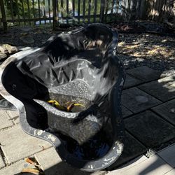 Outdoor Fish Pond 