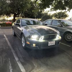 Mustang 2013
