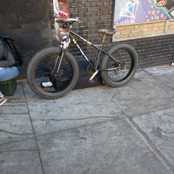 Jumbo Mountain Tire Bike