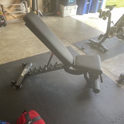 Rep Fitness Weight Bench