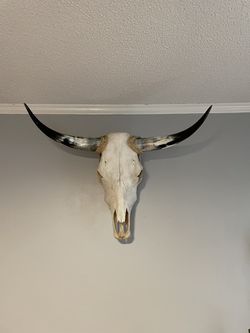 Vintage Cow Skull And Horns Thumbnail