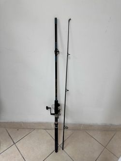Shakespeare Alpha 070 (2100B Series) with Pro Am Rod