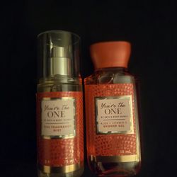 Bath & Body Works Mini Set