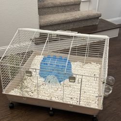 Guinea Pig Cage 