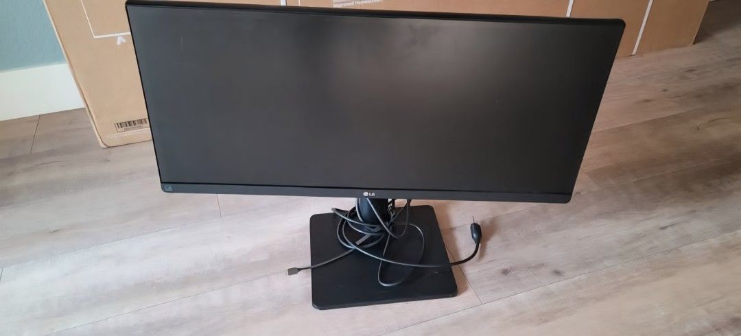 LG 29" widescreen monitor