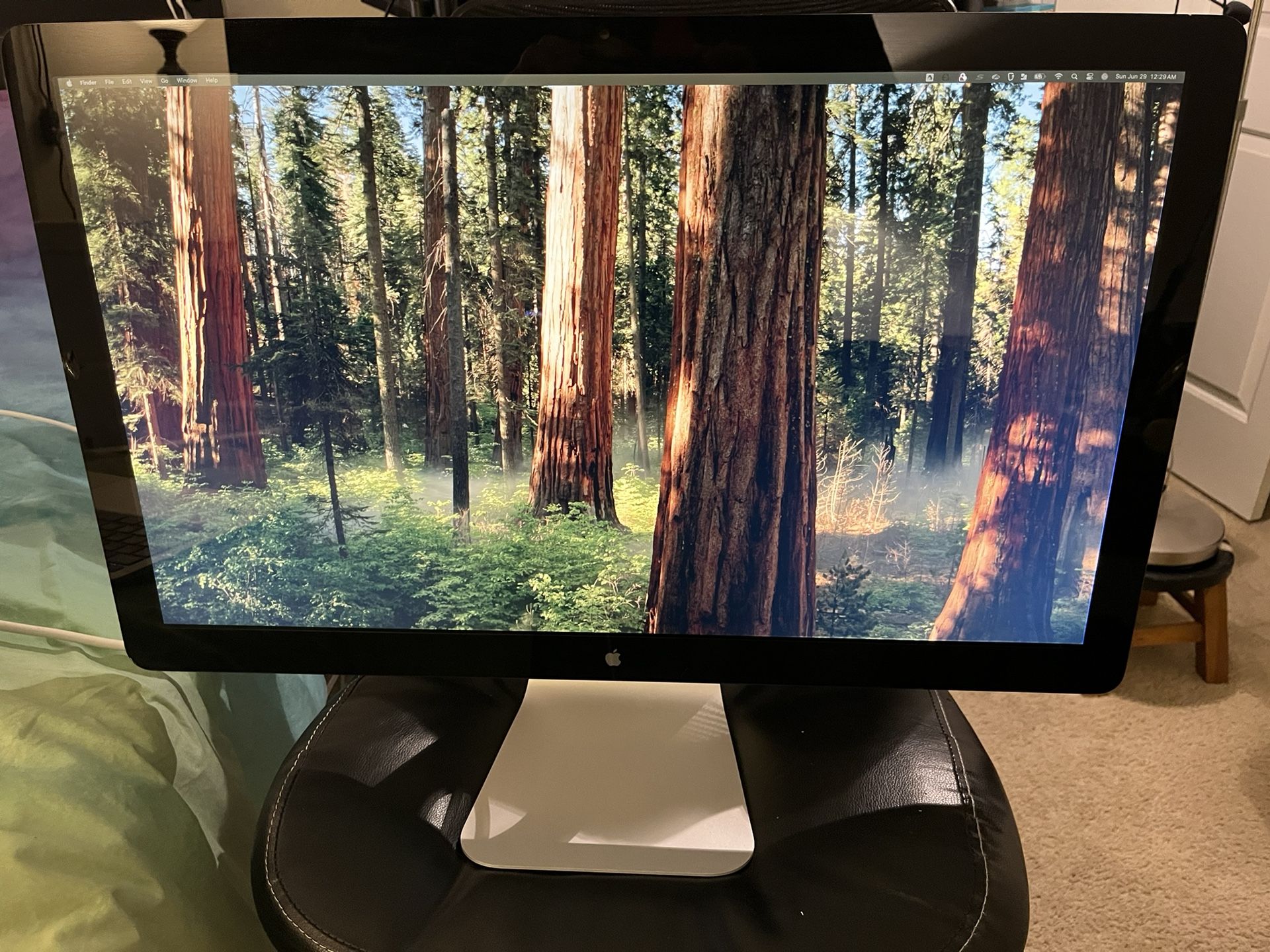 Apple 27 Inch Cinema Display, Thunderbolt 2 Interface, Model number A1316