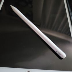 Apple Pen (Gen 2)