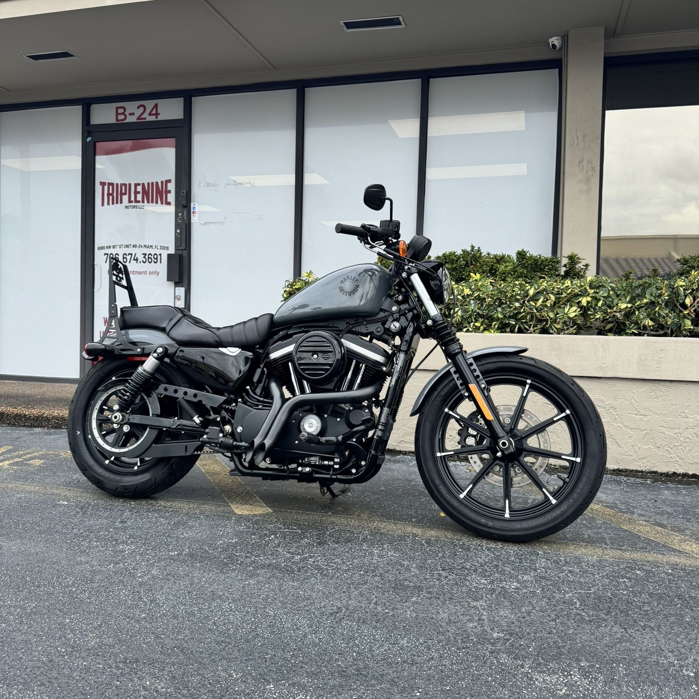 Harley Davidson Iron 883 2022