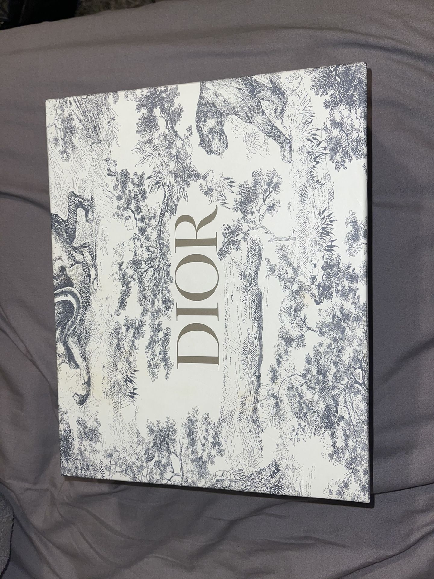 Dior Saddle Bag