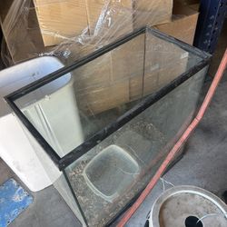 Aquarium Tanks 