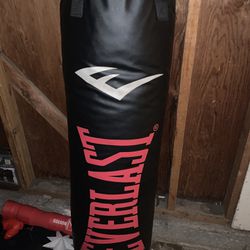 Large Ever last Punching Bag And Gloves 