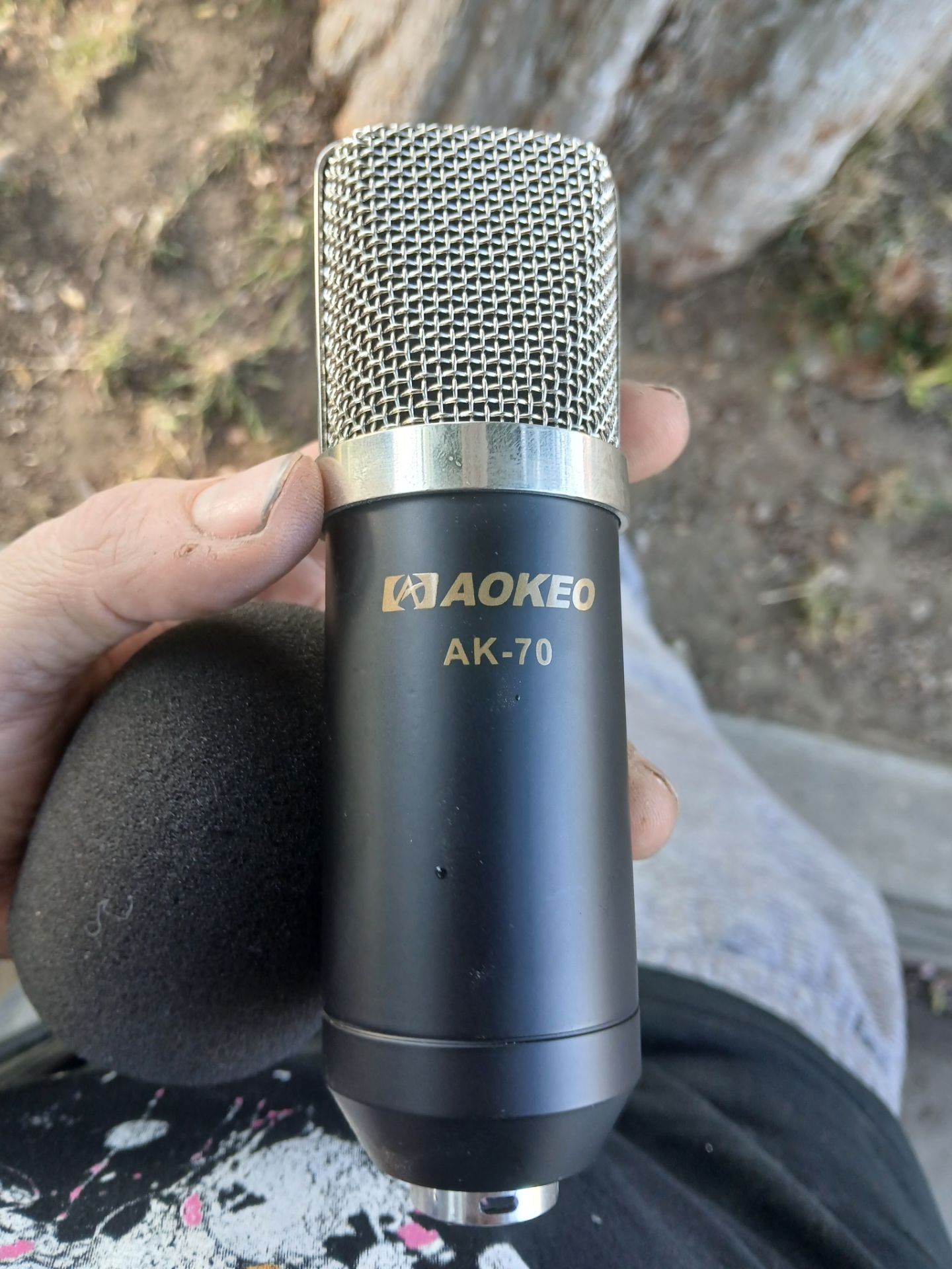 Nice condenser mic