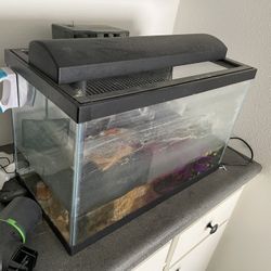 10 Gallon Aqueon Fish Tank System 